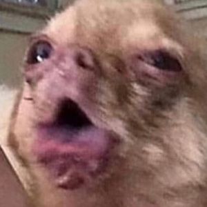 Meet your Posher, Carlie